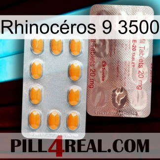 Rhinocéros 9 3500 new13